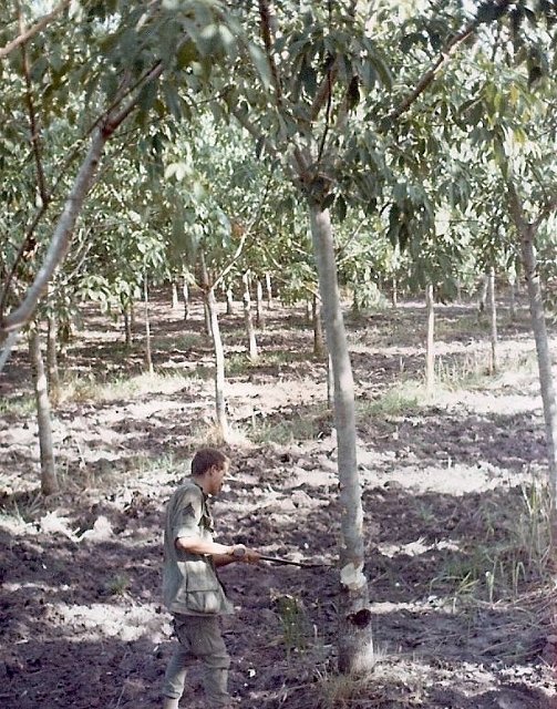 Sgt. Zontek cutting down a rubber tree